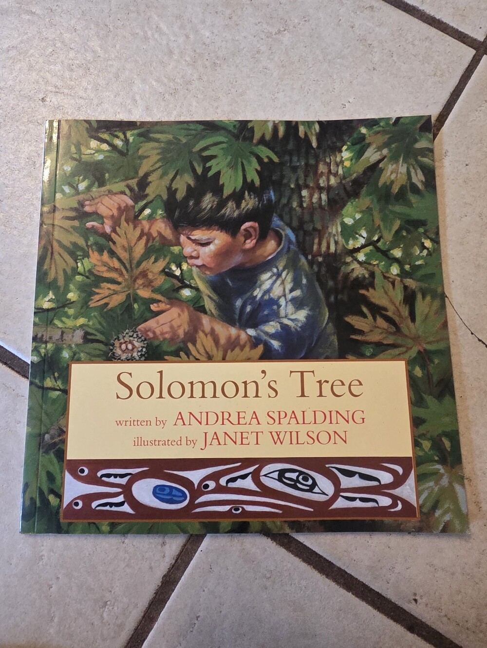 Solomon's Tree Picture Book Andrea Spalding
